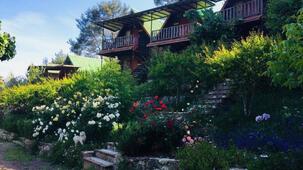 Olimpos Otantik Ağaç Evleri