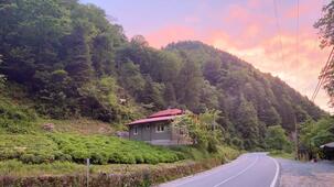 Ayderoad Kütük Villa