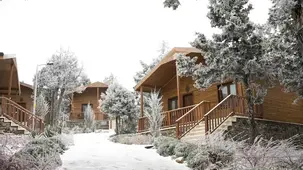 Bağbaşı Yaylası Bungalov Evler