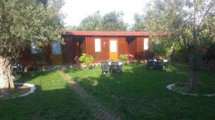 Assos Orchidee Bungalow