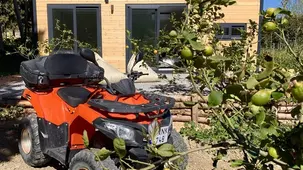 Zeytincik Tiny Cesme