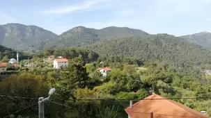 Kozalak Tatil Evleri