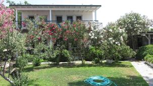 Arriba Pansiyon Restaurant