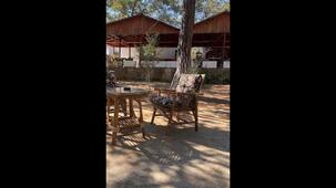 Spring Park Bahar Camping