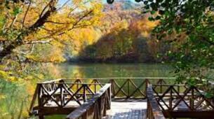 Yedigöller Kamp Alanları