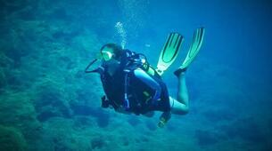 Divers Delight Dalış Merkezi