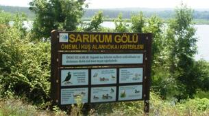 Sinop Sarıkum Plajı Gölü