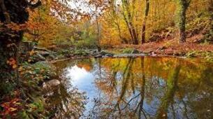 Çitdere Tabiat Koruma Alanı