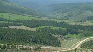 Akdağmadeni Ormanları