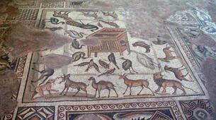 Misis Mozaik Müzesi