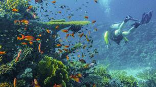 Ayvalıkda Dalış Yerleri