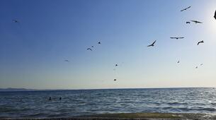 Altınkum Plajı Balıkesir