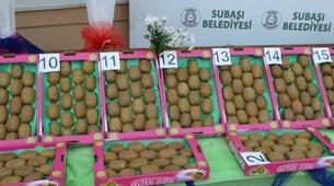 Yalova-Subaşı Kivi Festivali