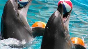 İstanbul Dolphinarium