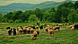 Kırklareli Aktiviteleri ve Yapılacak Şeyler