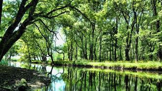 Kırklareli Restoranları ve Yemek Yerleri