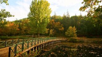 Balıkesir Restoranları ve Yemek Yerleri