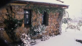 Yalova Aktiviteleri ve Yapılacak Şeyler