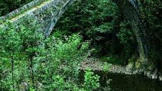 Rize Restoranları ve Yemek Yerleri