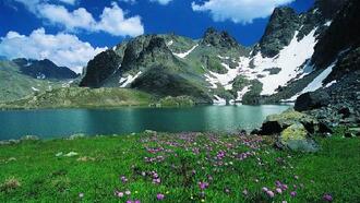 Ayder Restoranları ve Yemek Yerleri