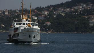 Büyükada Aktiviteleri ve Yapılacak Şeyler