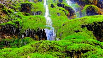 Denizli Restoranları ve Yemek Yerleri