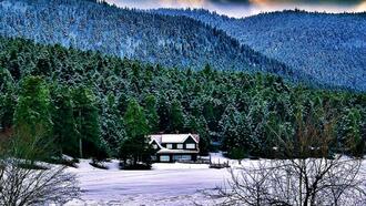 Abant Restoranları ve Yemek Yerleri