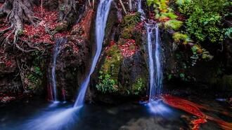 Kahramanmaraş Restoranları ve Yemek Yerleri