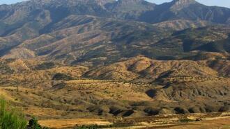 Şırnak Restoranları ve Yemek Yerleri