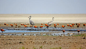 Kırşehir Gezilecek Yerler ve Tarihi Yerler