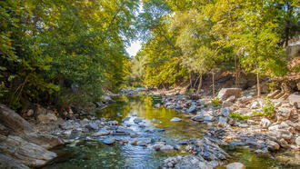 Altınoluk Restoranları ve Yemek Yerleri