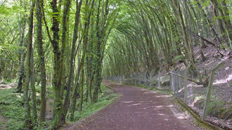 Polonezköy Aktiviteleri ve Yapılacak Şeyler