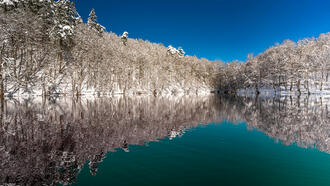 Yedigöller Restoranları ve Yemek Yerleri