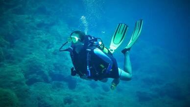 Divers Delight Dalış Merkezi