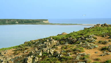 Gökçeada Tuz Gölü
