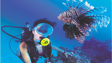 Ayışığı Dalış Merkezi