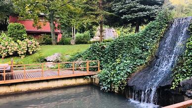 Sapanca İstanbul Dere