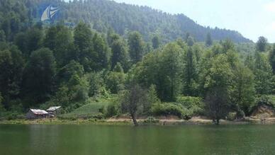 Sapanca Çiğdem Yaylası