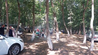 Kabakça Piknik Alanı