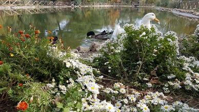 Kapıçam Tabiat Parkı