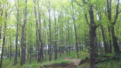 Binbaşı Mesire Yeri