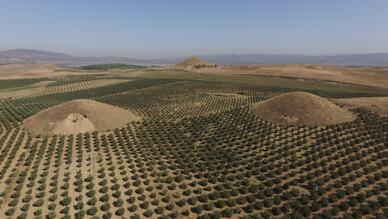 Bintepe Tümülüsleri