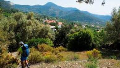 Palamutbükü Doğa Yürüyüşü