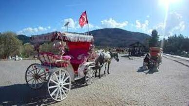 Abant Gölü Fayton Gezisi