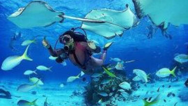 Çeşmede Dalış Yerleri