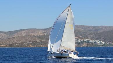 Lemon Sailing School