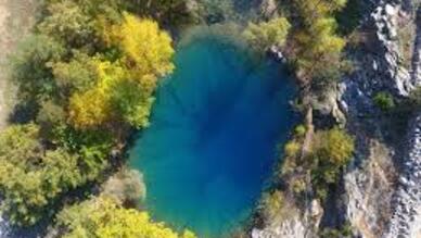 Tekir Yeşilgöz Mesire Yeri