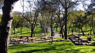 Yavşan Yaylası Tabiat Parkı