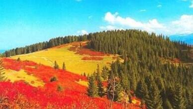 Paşakonağı Yaylası