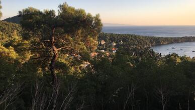 Dilburnu Tabiat Parkı